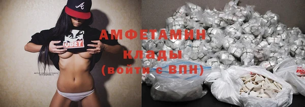 прущие грибы Балабаново