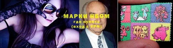 шишки Баксан