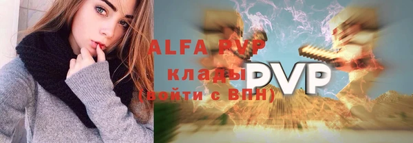 прущие грибы Балабаново
