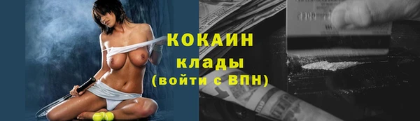 прущие грибы Балабаново