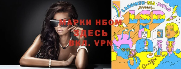 прущие грибы Балабаново