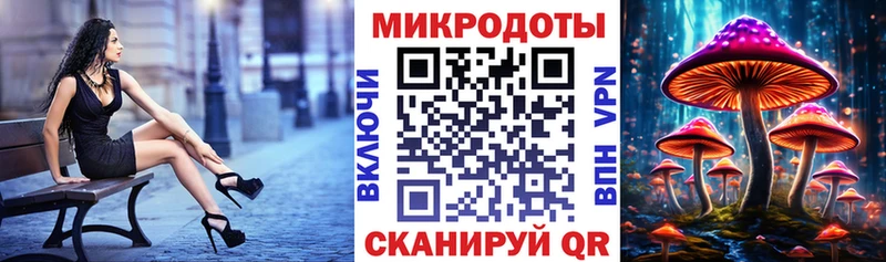 сколько стоит  Сланцы  Псилоцибиновые грибы мицелий 